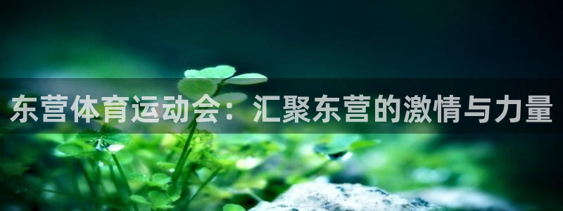 快体育免费直播入口：东营体育运动会：汇聚东营的激情与力量