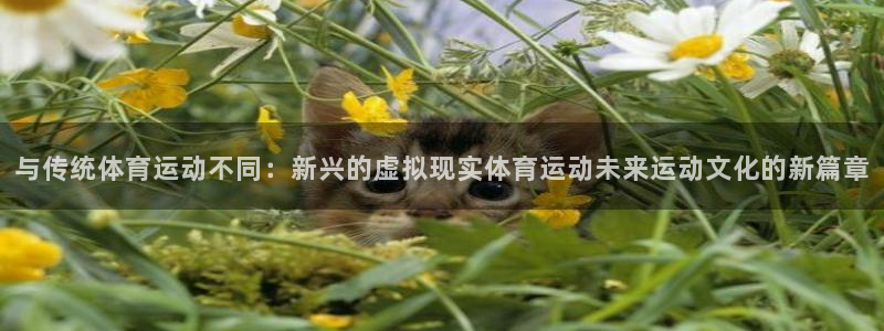 快体育足球篮球：与传统体育运动不同：新兴的虚拟现实体育运动未来运动文化的新篇章