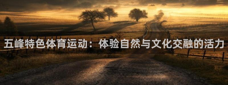 快体育五大联赛