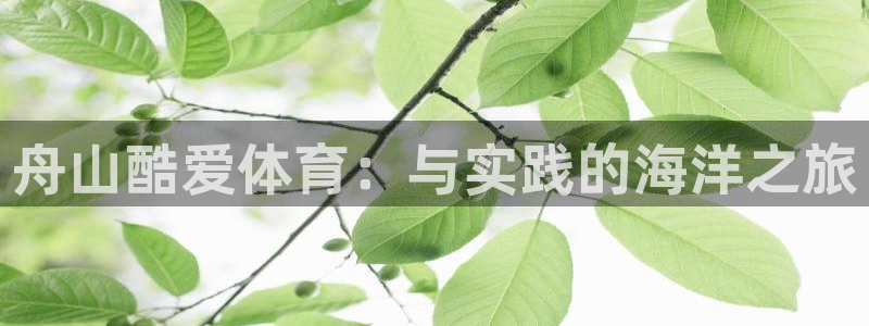 快体育五大联赛24小时实时直播
