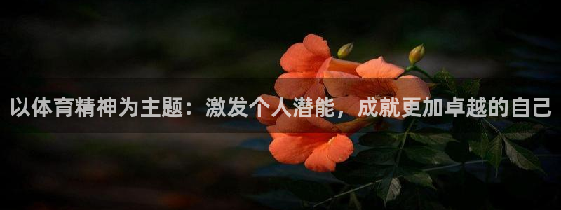 快体育篮球直播