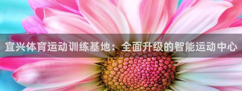快体育足球篮球24小时直播