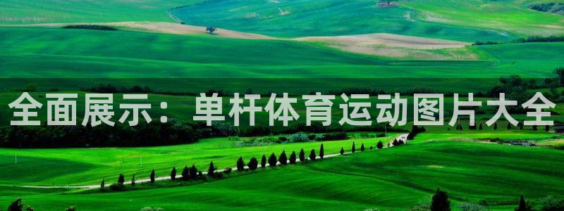 快体育直播免费观看